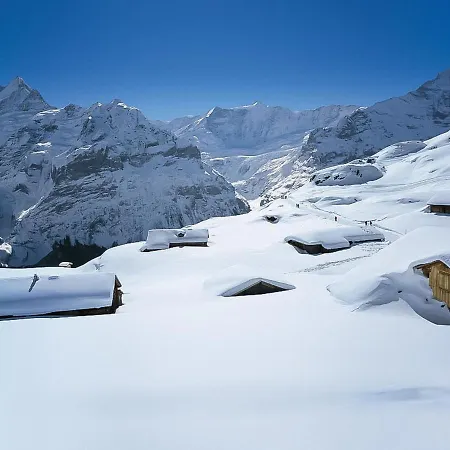 Marie Rosa-1 By Interhome * Grindelwald