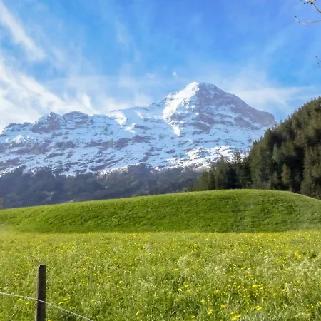 Apartmán Marie Rosa-1 By Interhome Grindelwald